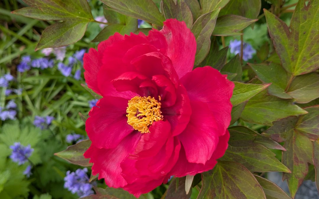 ‘Nocturnes’ comes out in the US today